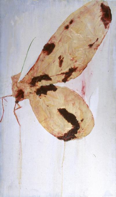 c_carne-09-papillon.jpeg